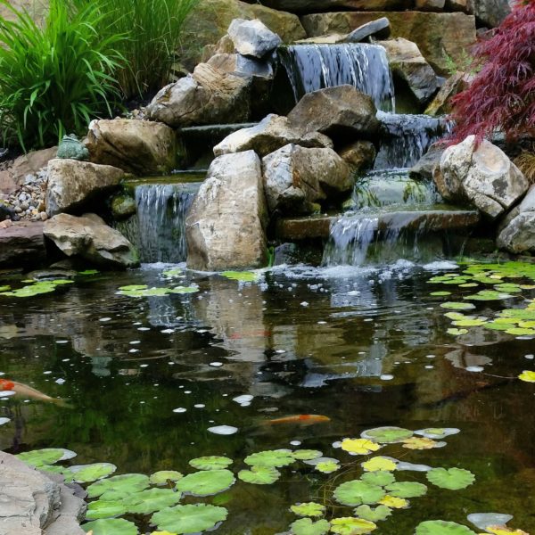 Koi Ponds/Water Gardens | Aquaterra Earthscapes LLC